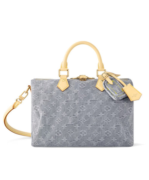 Louis Vuitton Speedy Soft 30 M13344 Gray